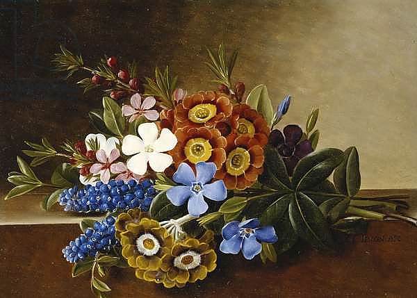Periwinkle, Auricula and Grape Hyacinths on a Marble Ledge, 1882