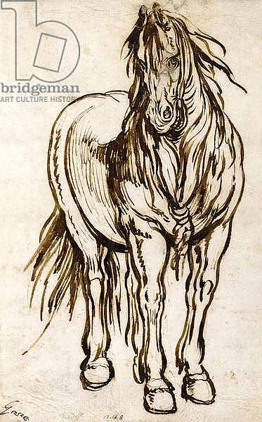 Study of a Horse,