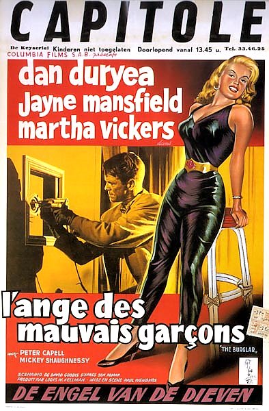 Film Noir Poster - Burglar, The