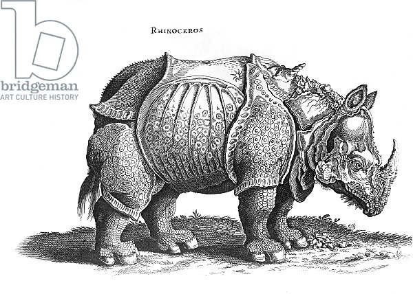 Rhinoceros, no.76 from 'Historia Animalium' by Conrad Gesner published in July 1815
