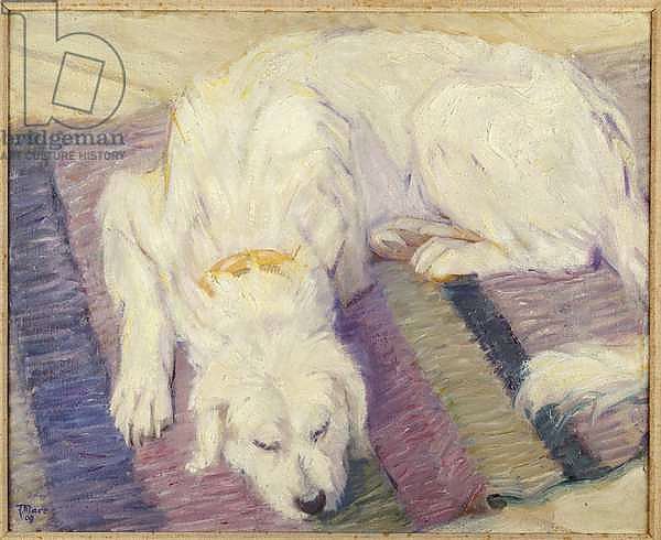 Sleeping Dog, 1909