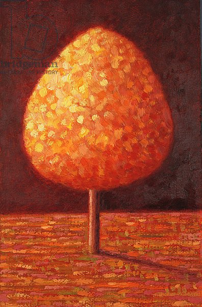 Sun Drenched Tree, 1996