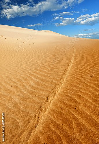 Песчаные барханы пустыни