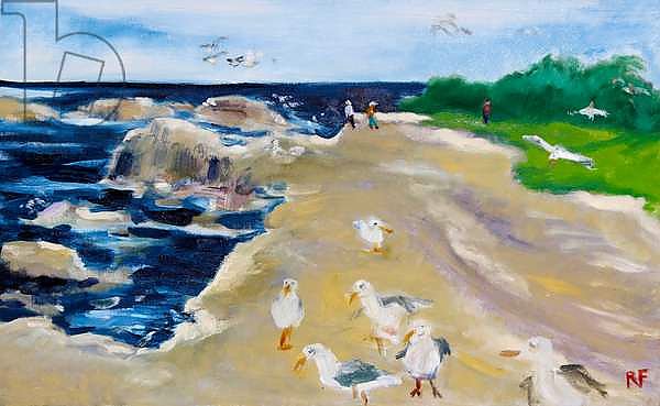Seagulls, Monterey, 2020,