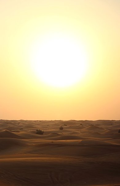 Солнце пустыни