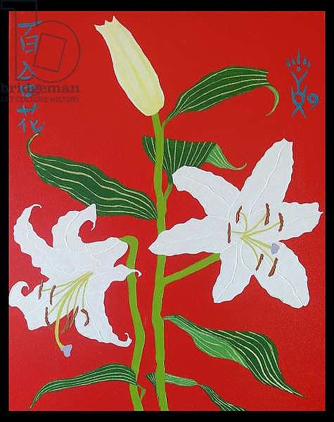 White lily on a red background no.2, 2008, oil on canvas