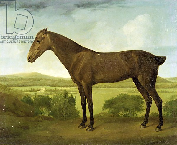 Brown Horse in a Hilly Landscape, c.1780-1800