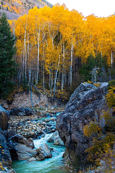 Золотой осенний лес над горной речкой, Аспен, США