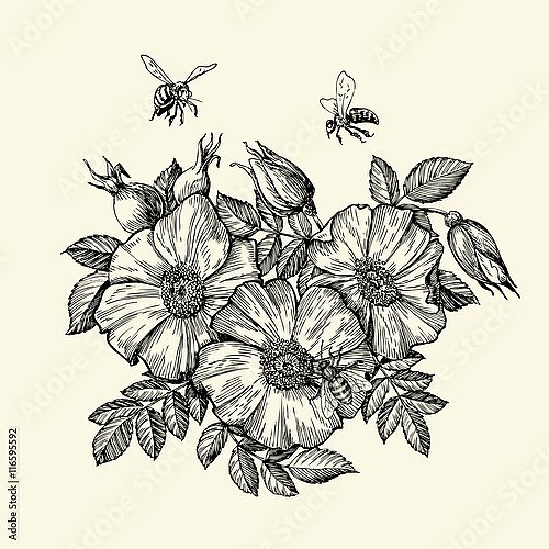 Пчелы, летающие вокруг цветка