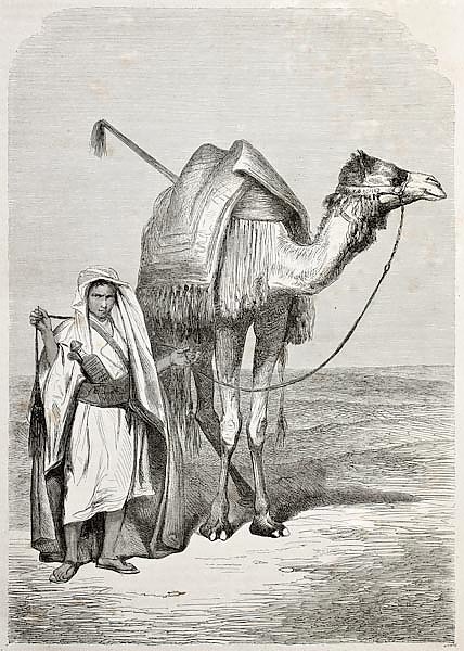 Boy holding camel's reins. Created by Pottin, published on Le Tour du Monde, Paris, 1864