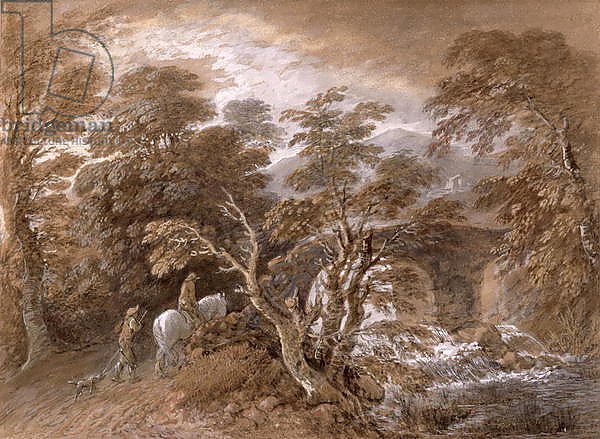 A Woodland Pool with Rocks and Plants, c.1765-70