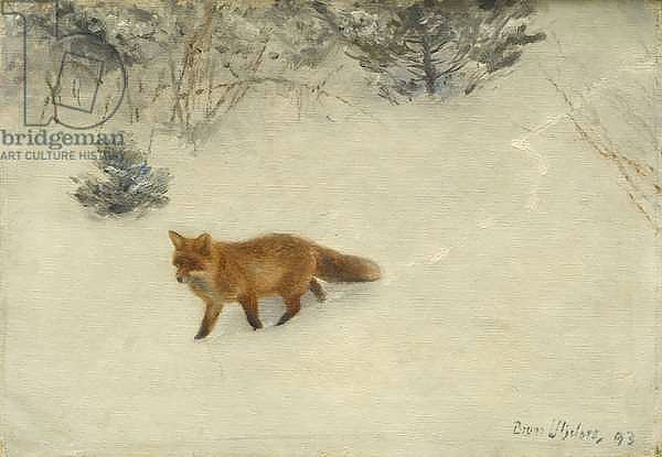The Fox, 1893