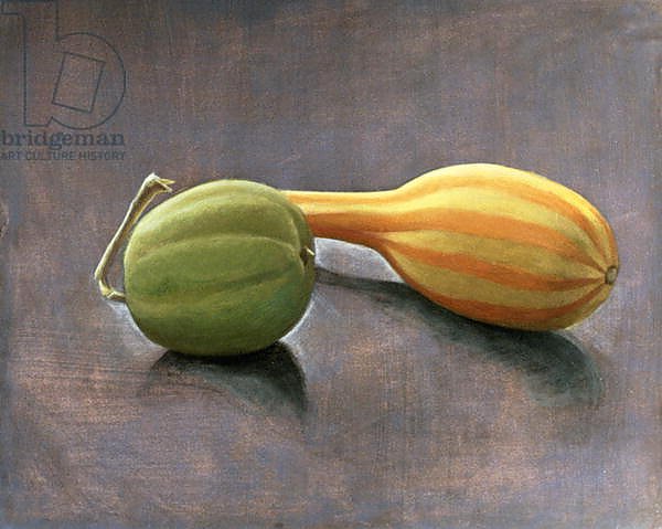 Gourd and Lime, 1982