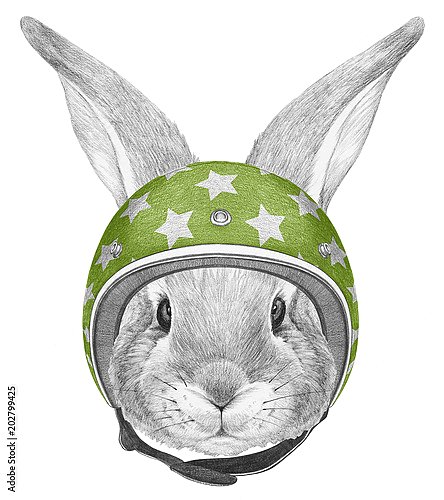 Портрет кролика со шлемом
