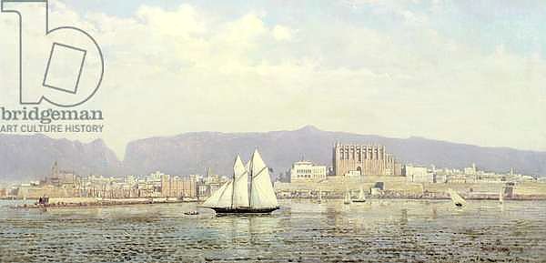 View of the Harbour, Palma