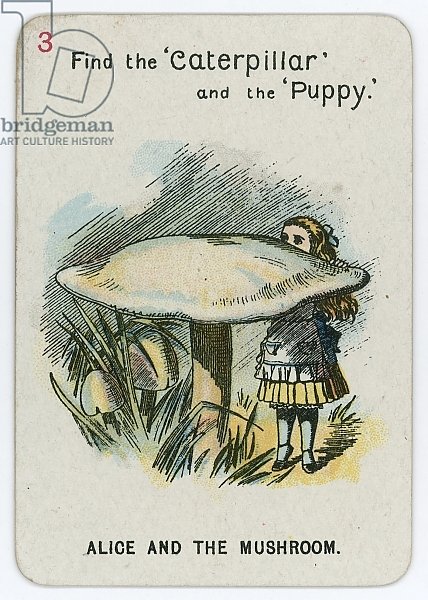 Alice and the Mushroom