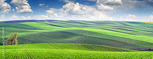 Постер Чехия. Панорама зеленых полей
