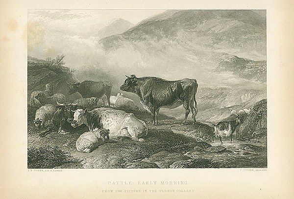 Cattle: Early Morning