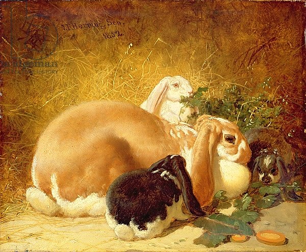 Rabbits, 1852