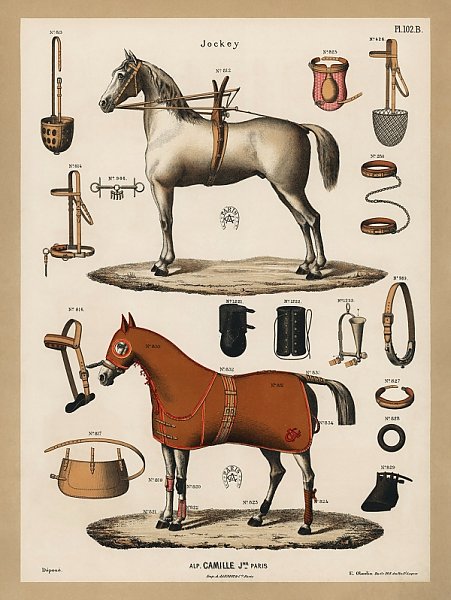 Хромолитография со старинным оборудованием для верховой езды (1890 г.), из антикварного каталога для верховой езды