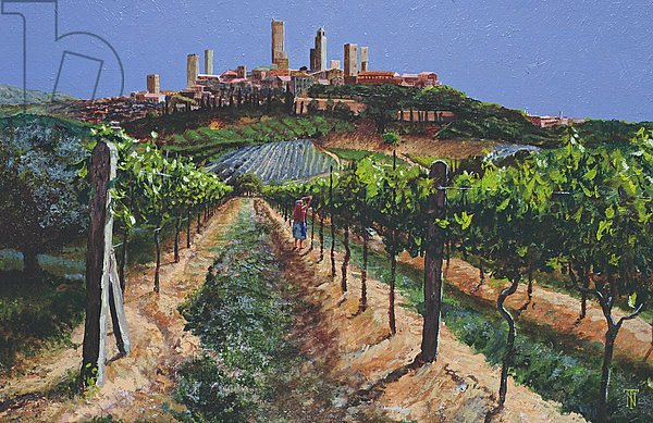 Grape Vines, San Gimignano, Tuscany, 1998
