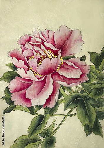 Большой розовый цветок пиона