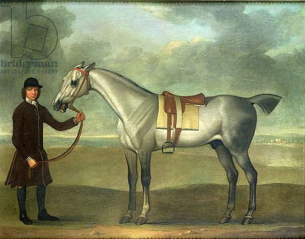 Grey racehorse held by a groom