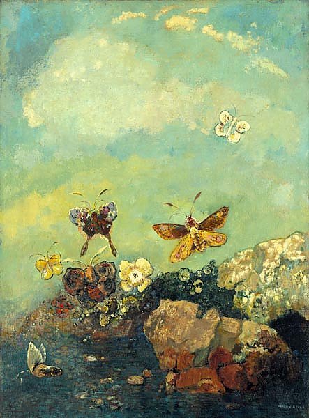 Butterflies 116