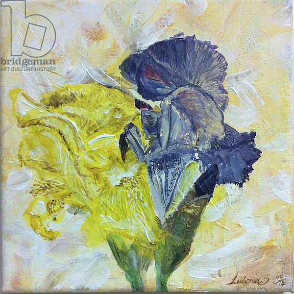 Iris', flowers,, painting