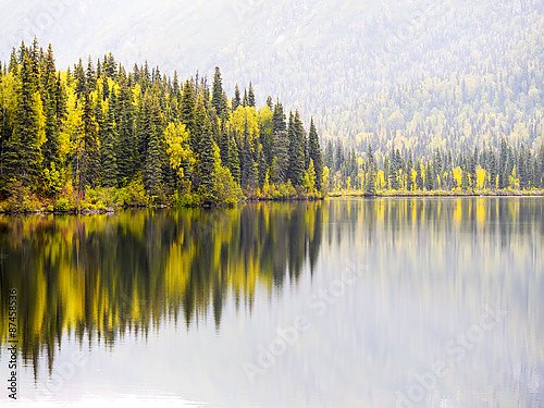 США. Alaska fall color reflected in a river