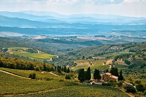 Небольшие фермы и виноградники в долине