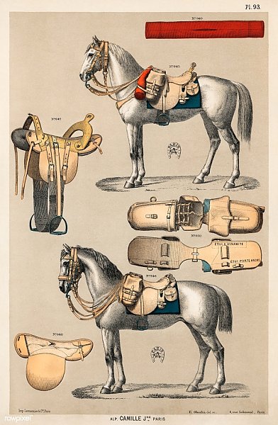 Хромолитография лошадей со старинным оборудованием для верховой езды из антикварного каталога для верховой езды (1890)