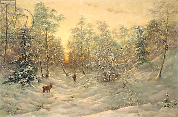 Deer in a snowy landscape at dusk