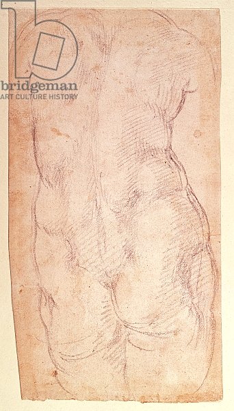 Study of the back of a nude figure