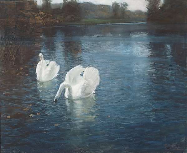 Swans on the river, c.1880