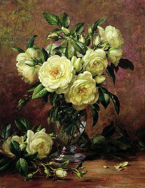 White Roses, A Gift from the Heart