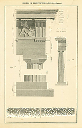 Постер Orders of Architecture - Doric - (Grecian)
