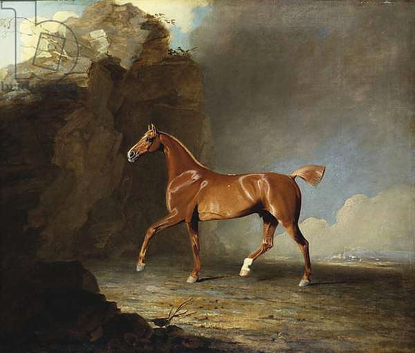 A Golden Chestnut Racehorse by a Rock Formation, 1800