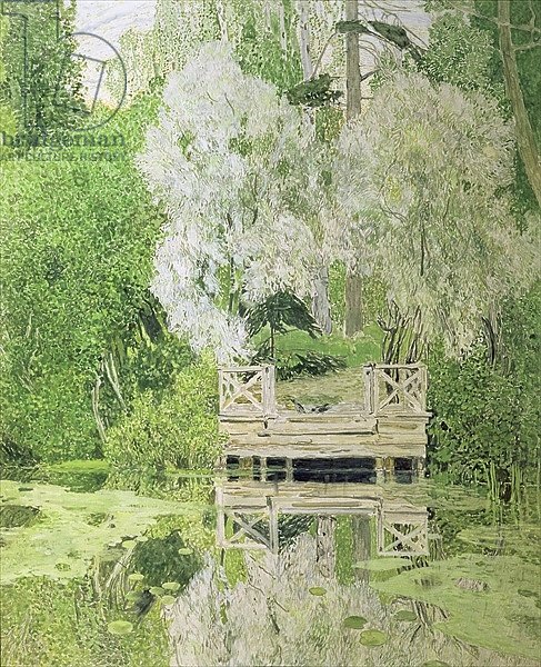 Silver White Willow, 1904