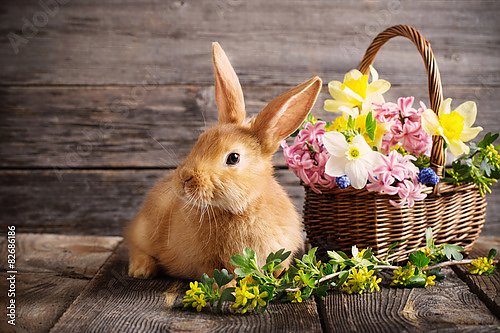 Рыжий кролик с корзинкой цветов