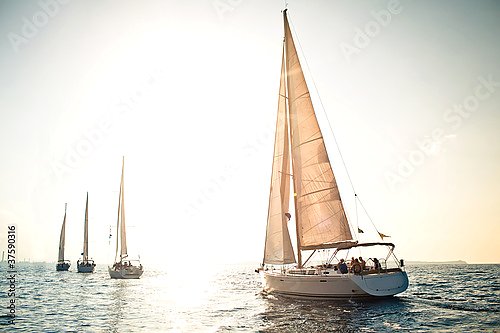 Группа яхт с белыми парусами