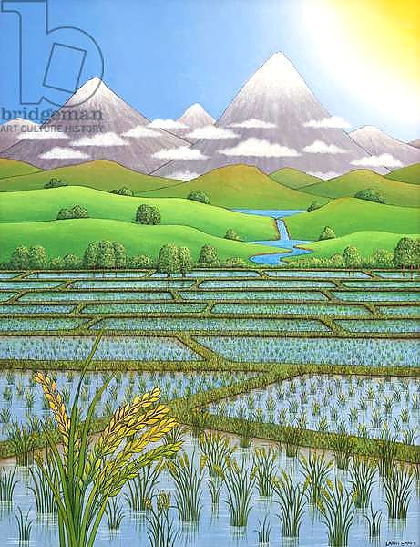 Japan Rice Paddy Field, 1997