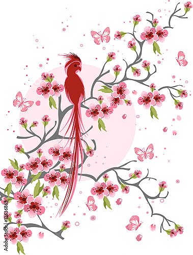Попугай на ветке цветущей вишни