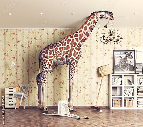 Жираф в гостиной