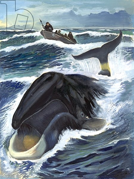 Whaling