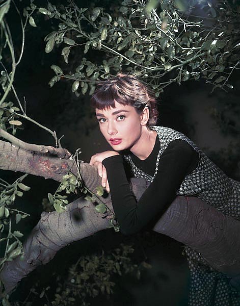 Hepburn, Audrey (Sabrina) 12