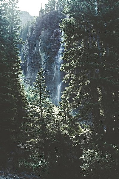 Высокий водопад в еловом лесу