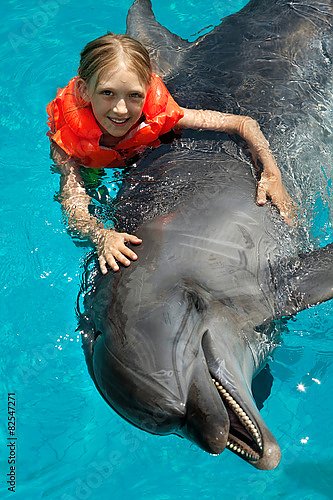 Плавание с дельфином