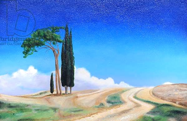 4 Trees, Picenza, Tuscany, 2002