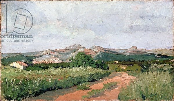 Provencal Landscape, 1869